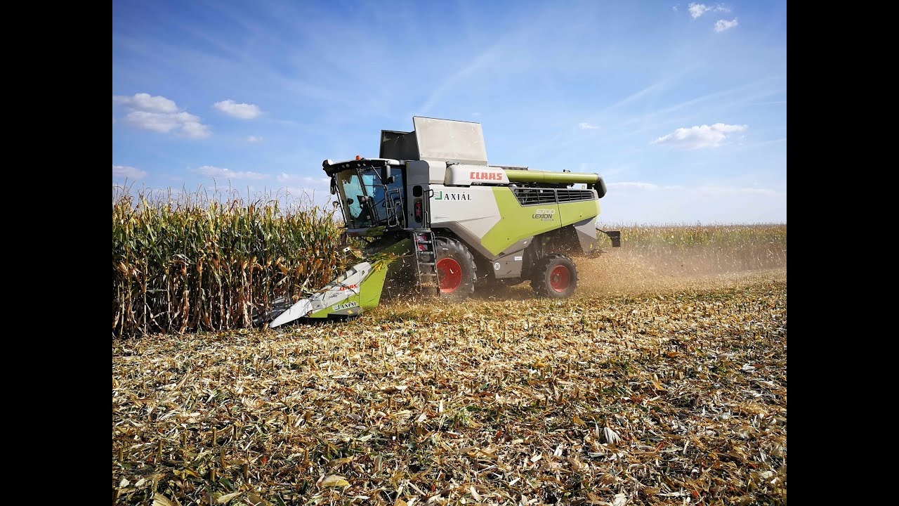 CLAAS Lexion 6700 wet corn harvest in Hungary