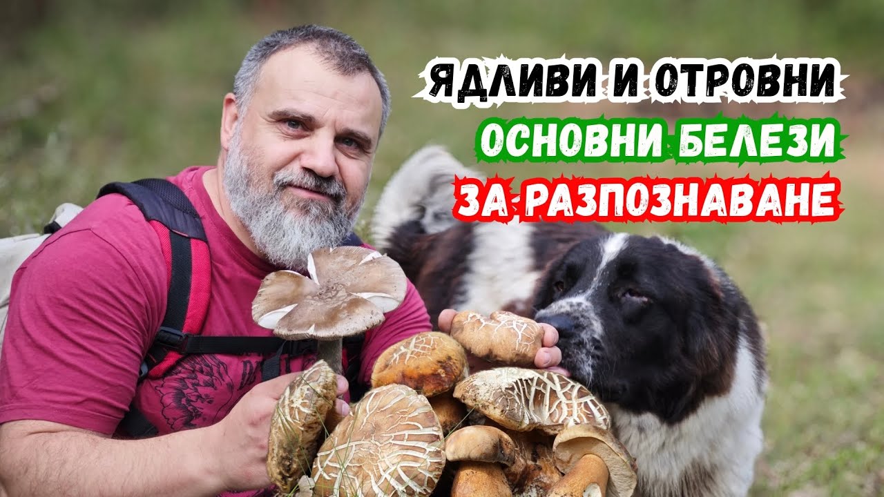 #Ядливи