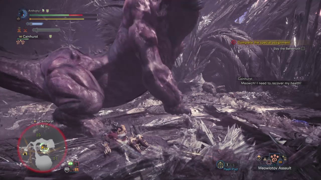 Behemoth Solo LS