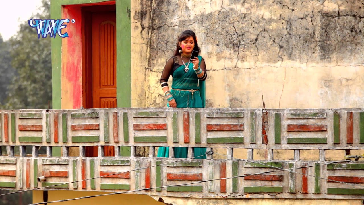 Balam Vaishali से अईहs - Holiya Me Udela Gulal - Anu Dubey - Bhojpuri Holi Songs HD @WaveMusicIndia