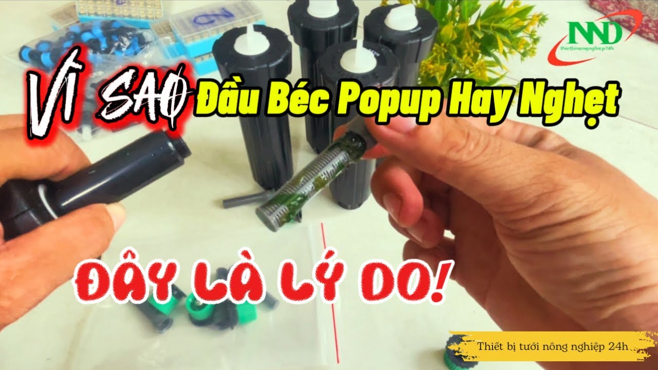 Vì sao Đầu Béc Popup Hay Bị Nghẹt - Và Đây Là lý do nên có lọc rác | Thiết Bị Tưới Nông Nghiệp 24h