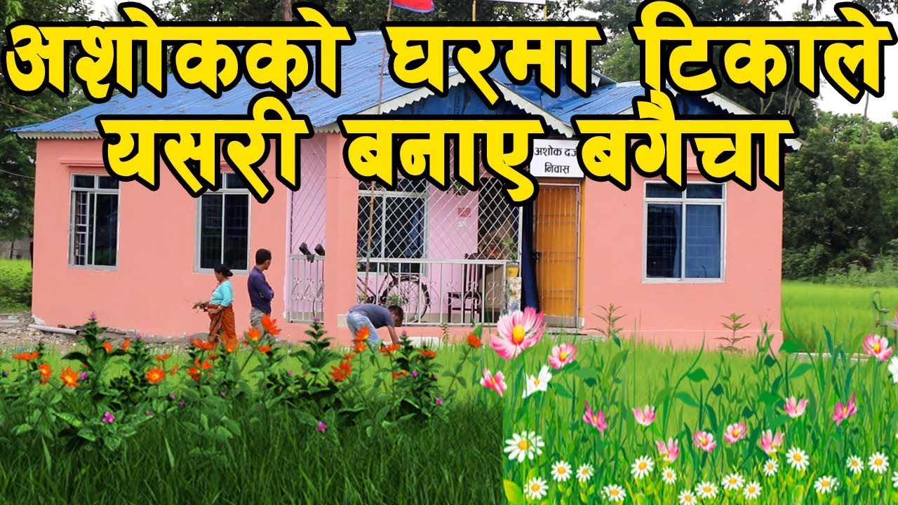 आशाेककाे घरमा यसरी बनाए टिका बुढाथाेकीले बगैचा ॥ छरछिमेकी हेर्याहेर्यै भए॥Tika Budathoki,Ashok Darji