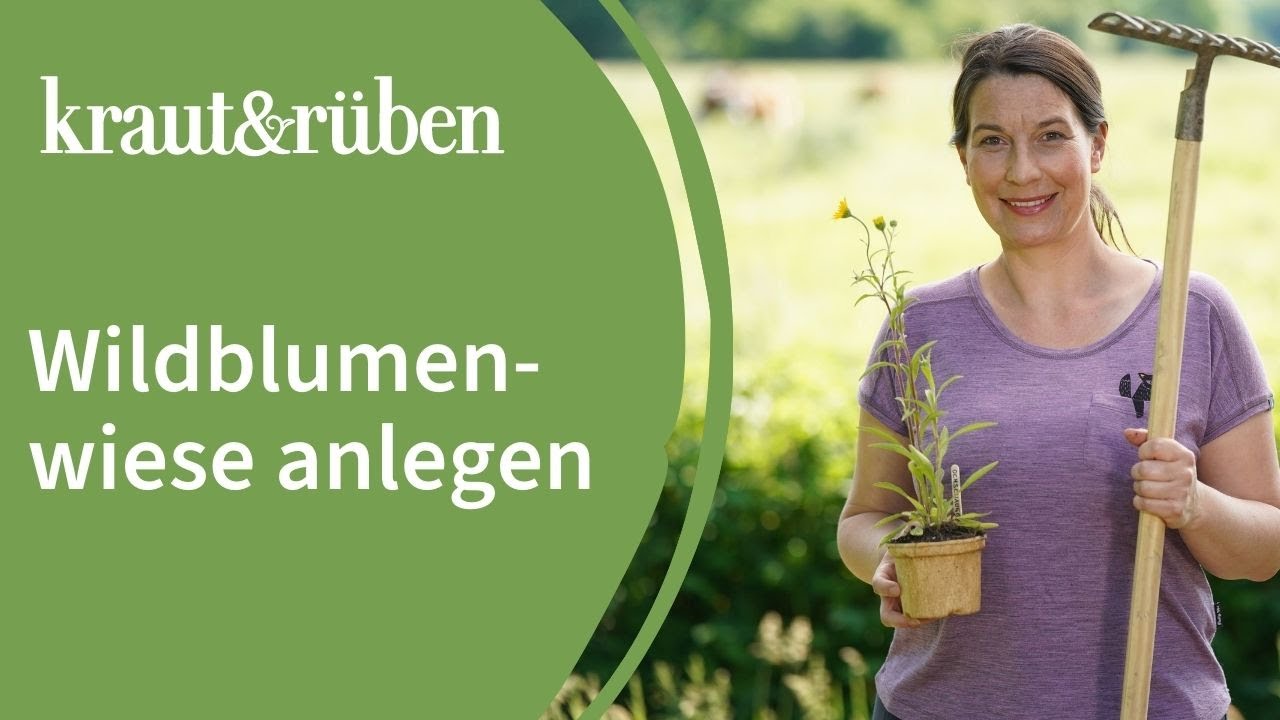 Wildblumenwiese anlegen🐝 Unsere Biogarten-Welt