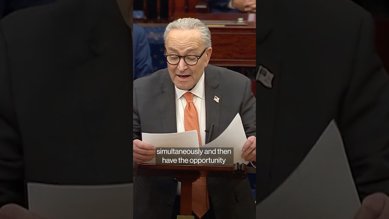 Schumer Unveils Democrats' Proposal to End Shutdown