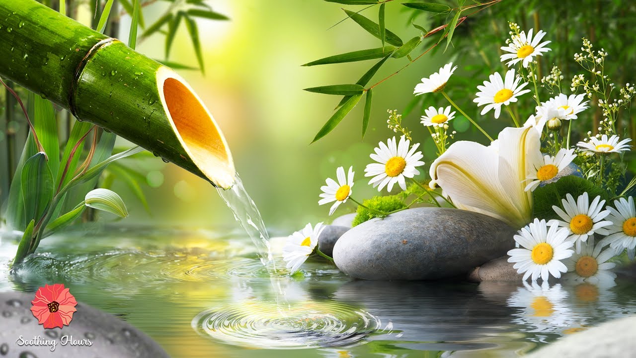 Расслабляющая музыка для отдыха ума, снятия стресса и тревоги 🌿 Расслабьтесь и засыпайте, дзен #2