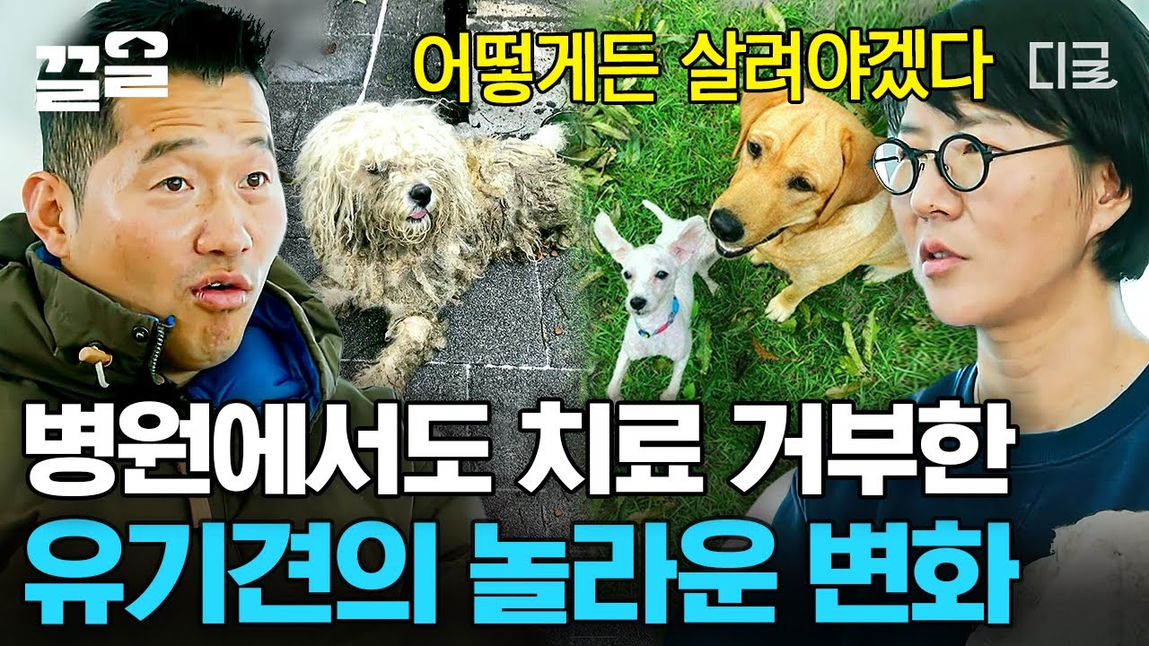 [#고독한훈련사] 
