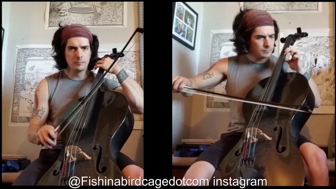 Original Cello Music - Fish in a Birdcage Oct Compilation