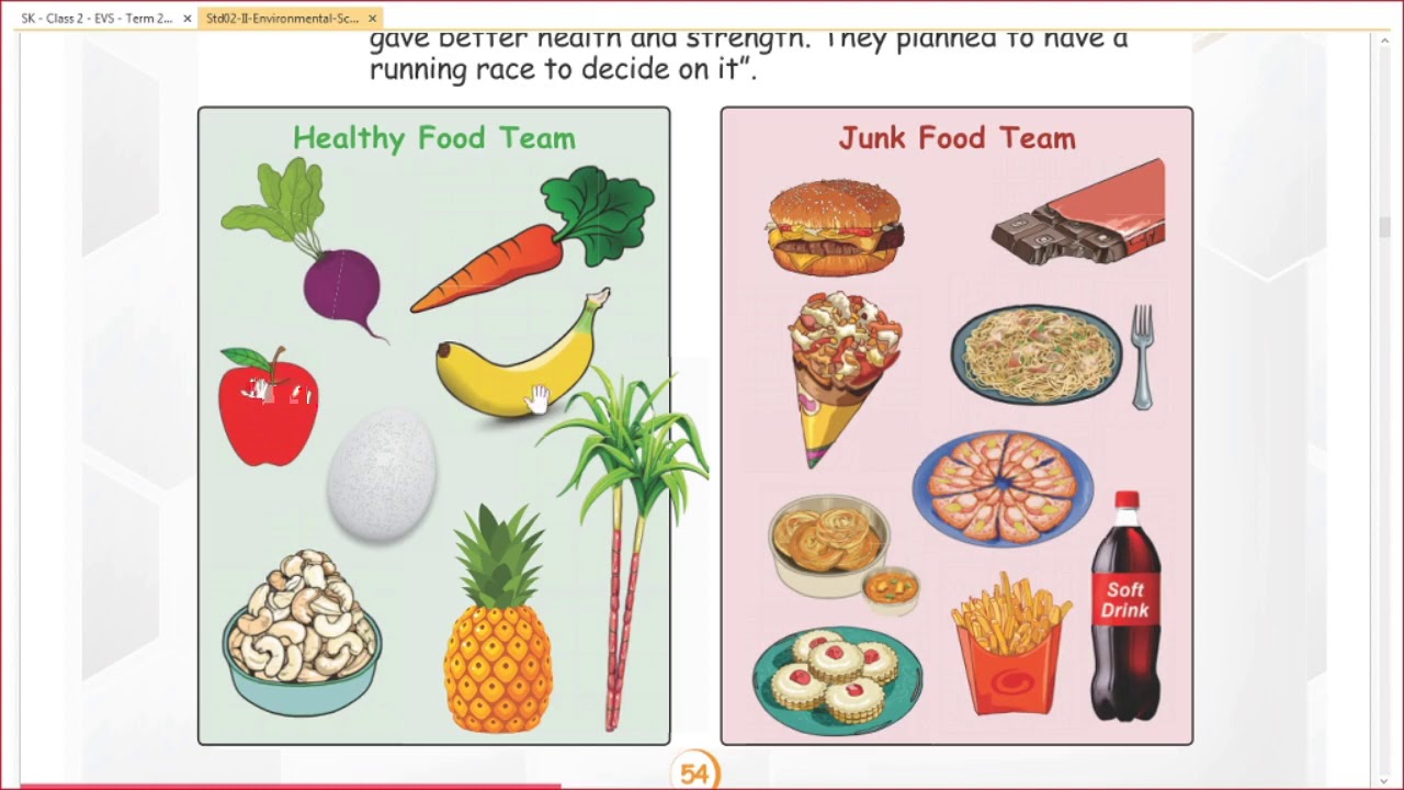 Samacheer Kalvi | Class 2 | EVS | Term 2 | Unit 1 | Food and Health