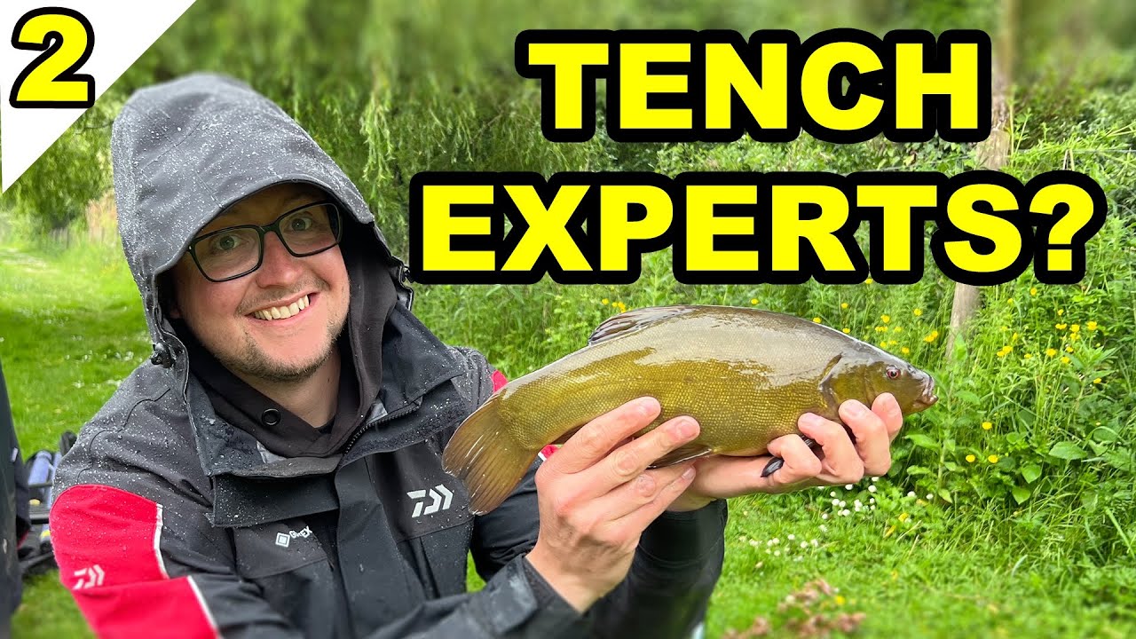 Полная катастрофа с линем! | Обзор национального рыболовного матча 2-го дивизиона — истории из ма...