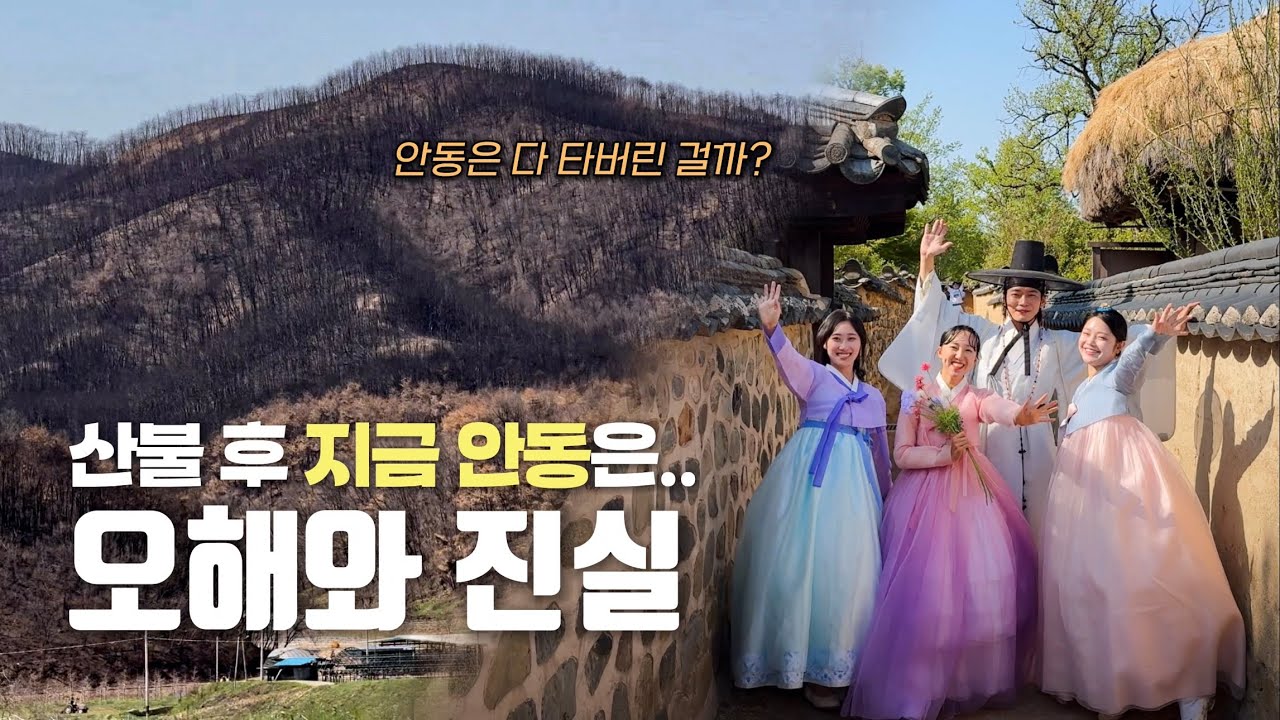 산불 후 안동, 과연 여행 가능할까? 직접 가봤습니다