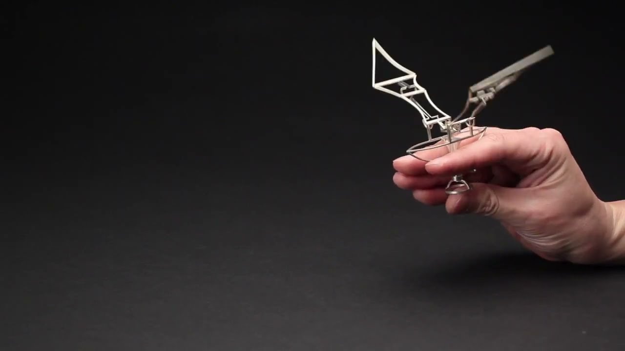 Wings, Kinetic Ring by Dukno Yoon