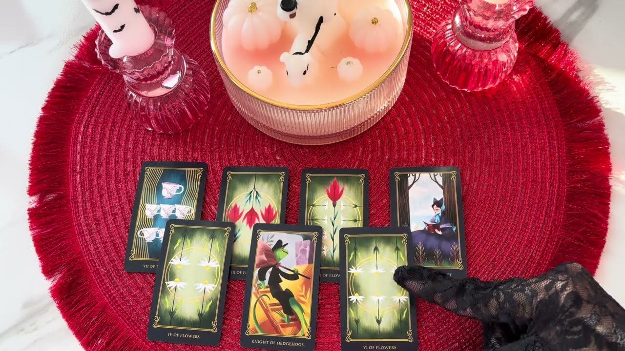 A 10-Card Deep Dive into Their Current Feelings & Intentions 🌸💍