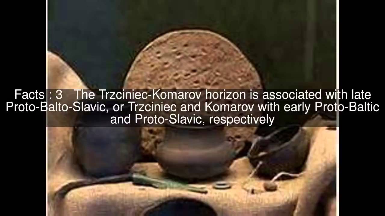 Trzciniec culture Top  #5 Facts