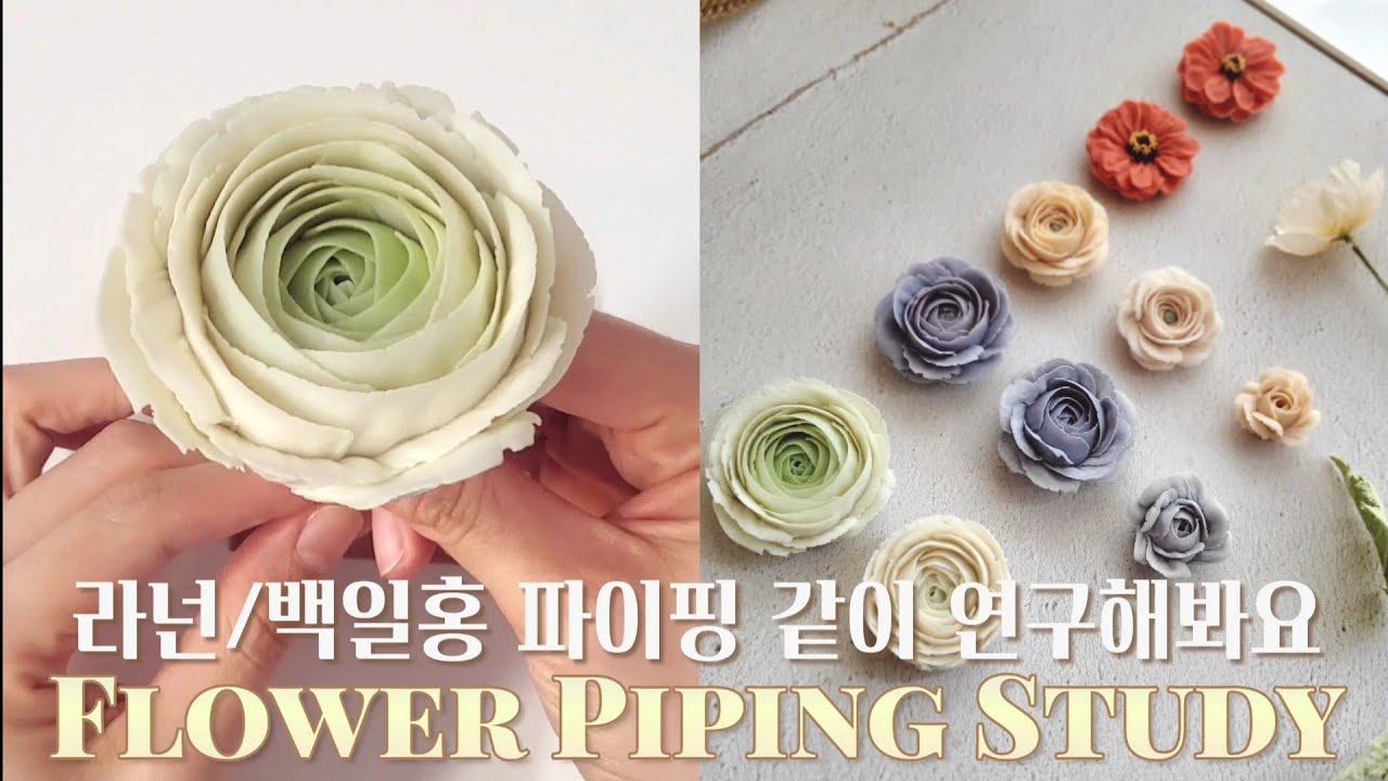 [ENG SUB] 랜선파이핑데이; 라넌큘러스,백일홍 이렇게도 짜볼까 /Flower-pipng study