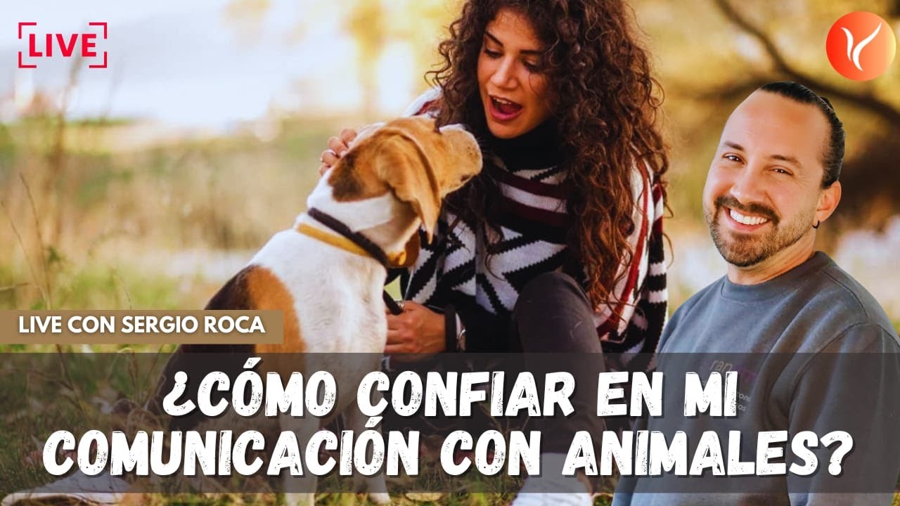 ¿COMO CONFIAR EN MI COMUNICACION CON ANIMALES?