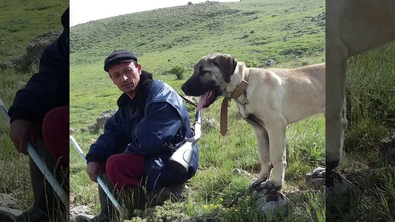 Malatya bayramuşağı köyü