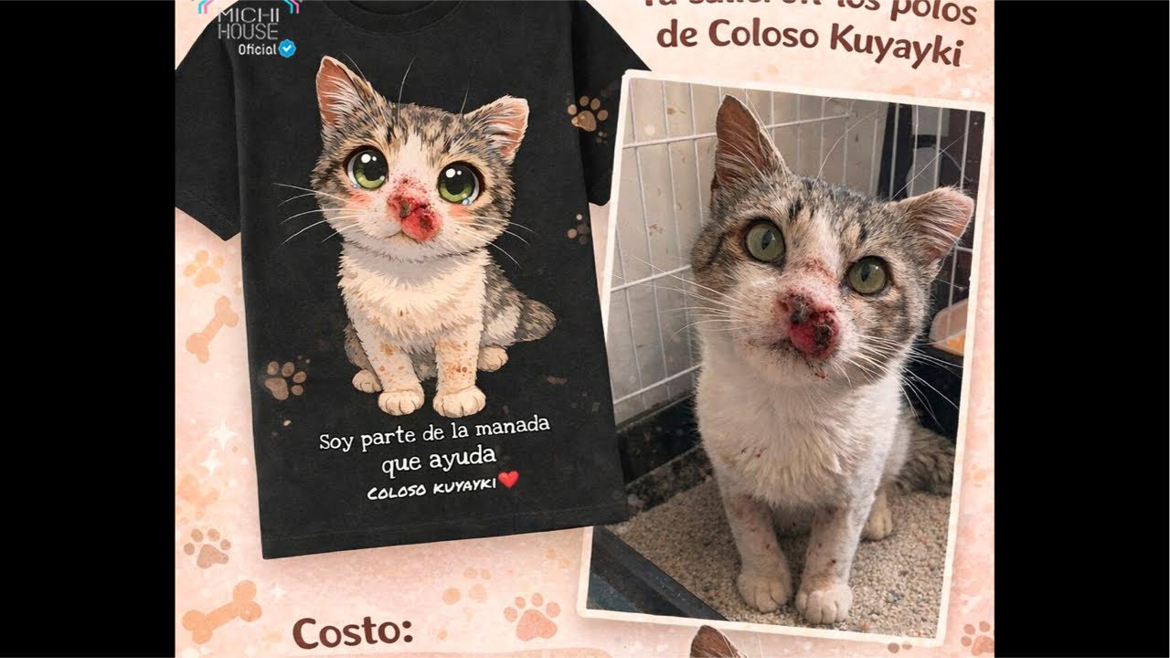 Miércoles de patas (transmisión para recaudar fondos, danos tu patita amiga.)-Michi House