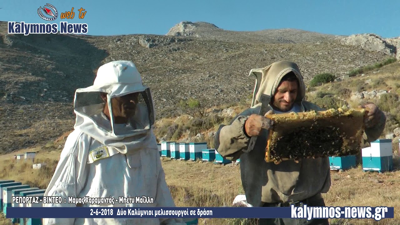 2-6-2018   Δύο Καλύμνιοι μελισσουργοί σε δράση
