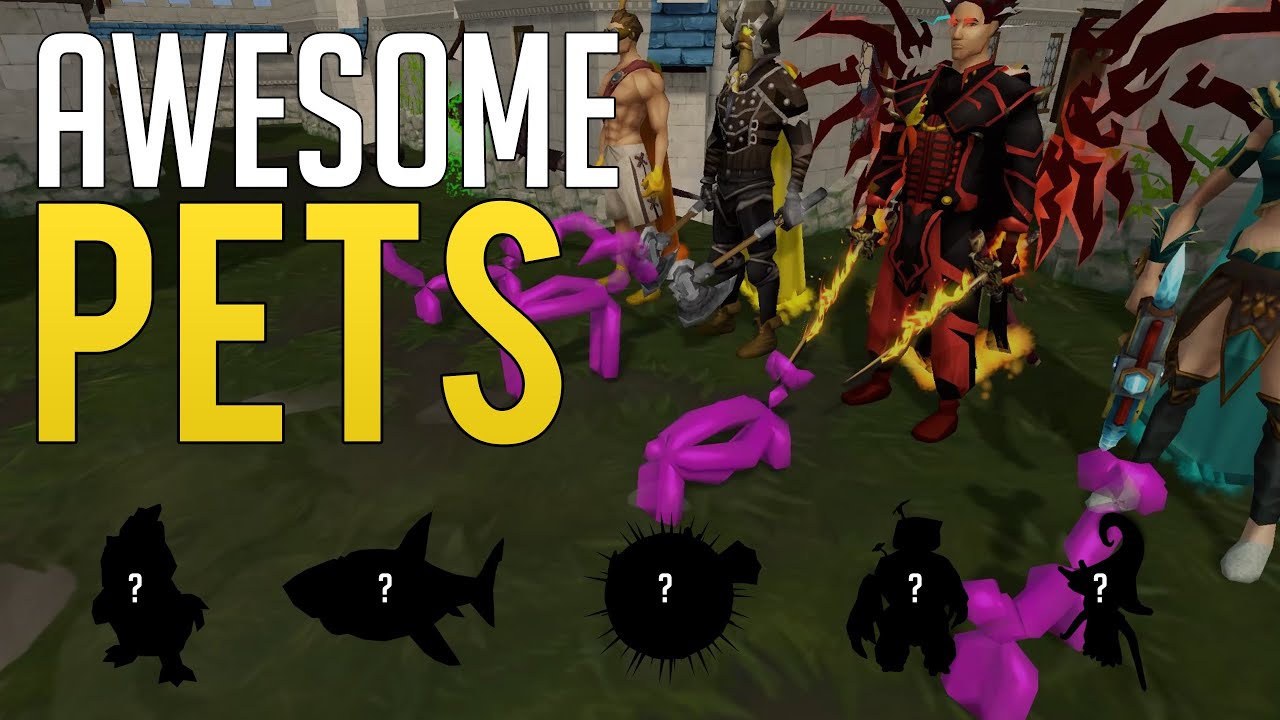 10 Awesome Pets you didn't know you wanted