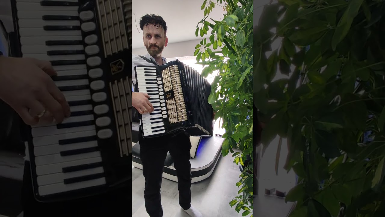 Góraleczka jak ze snu 🎶 - Akordeon 😍🪗 @demeters_rzeszow