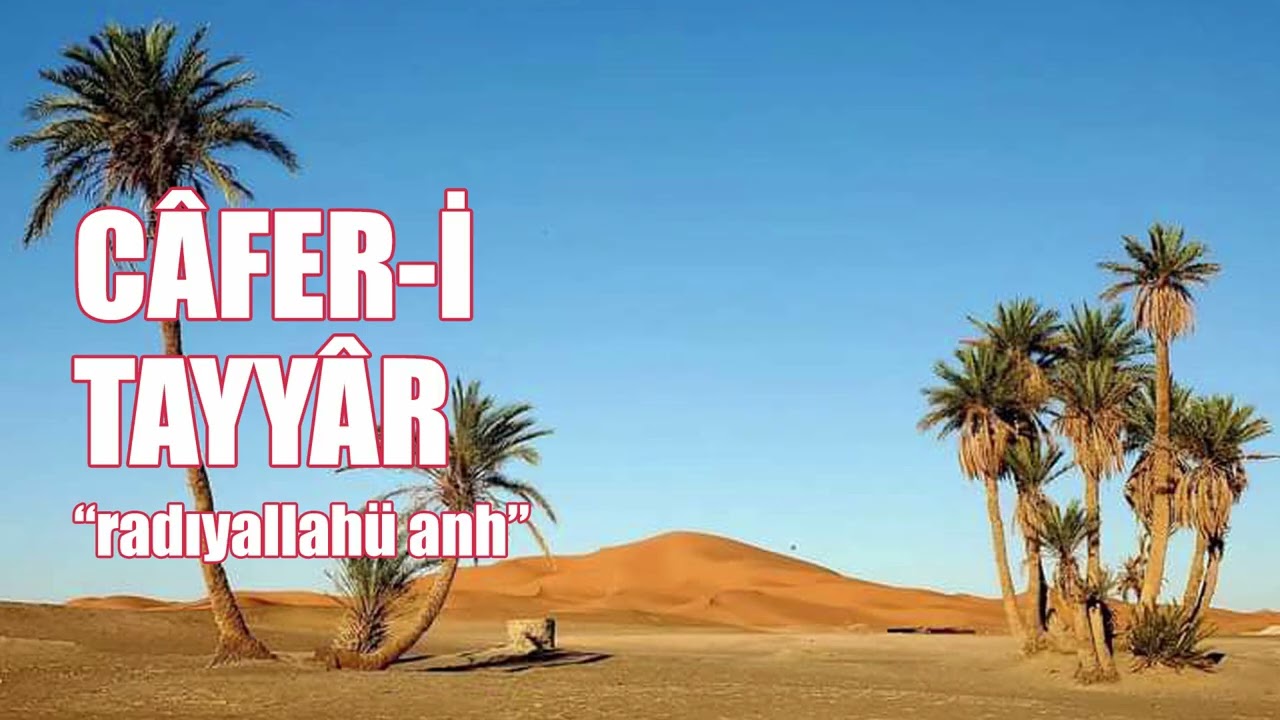 Cafer-i Tayyar 