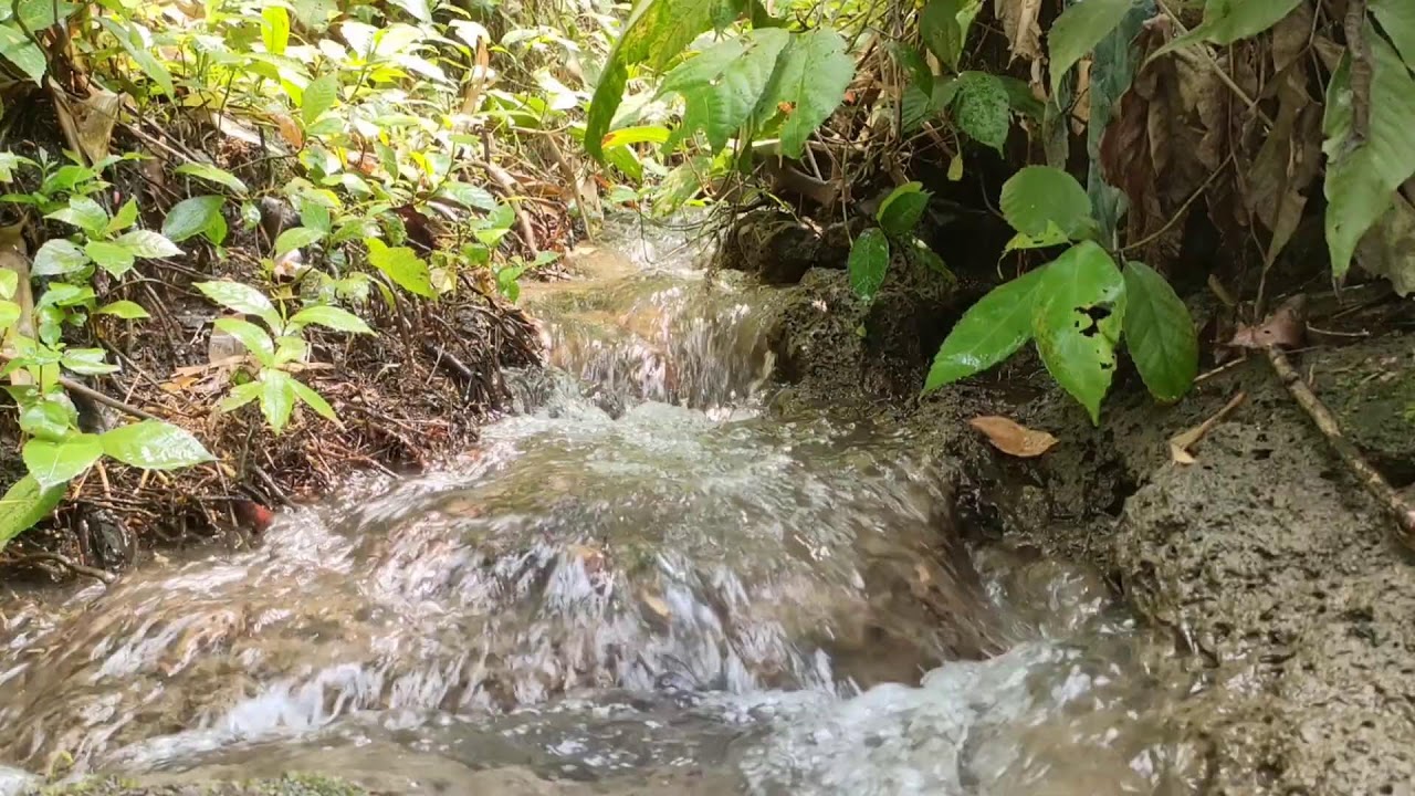 Healing River Ambience – Calm River Sounds with White Noise for Stress Relief