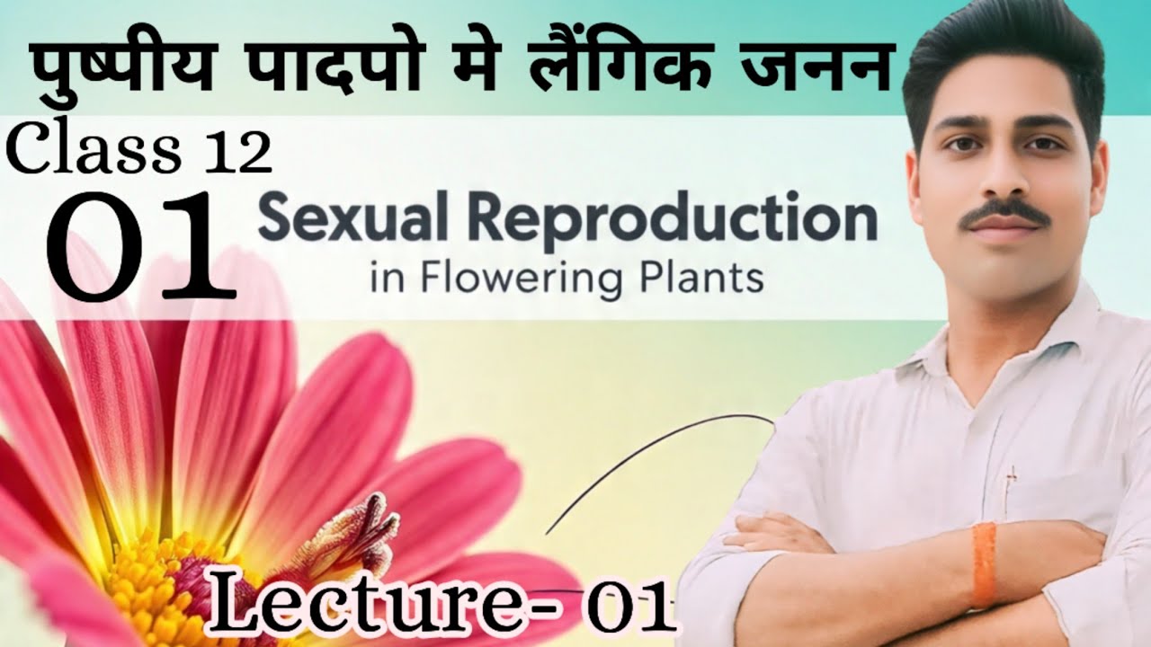 पुष्पीय पादपों में लैंगिक जनन L- 1।sexual reproduction in flowering plant#biologyclass12 