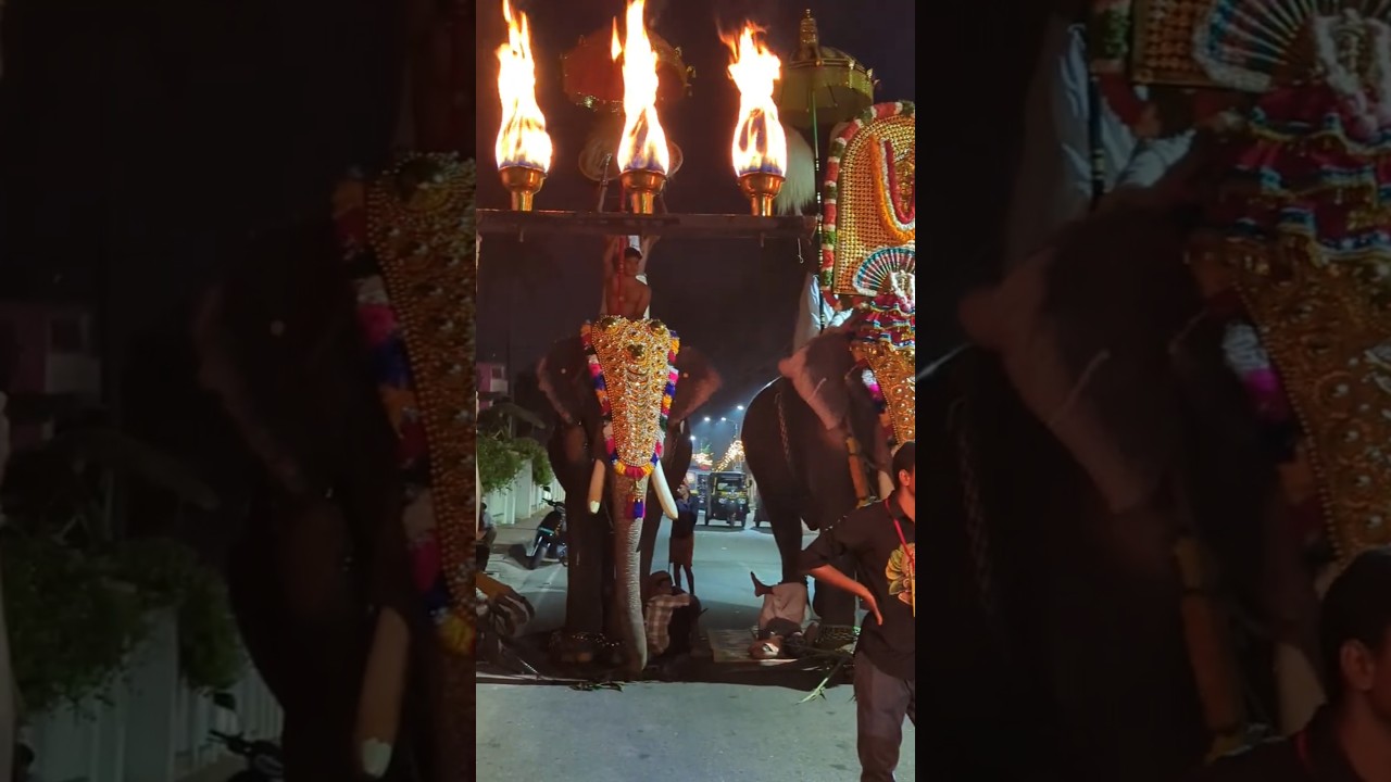 Panchavadyam✨                    