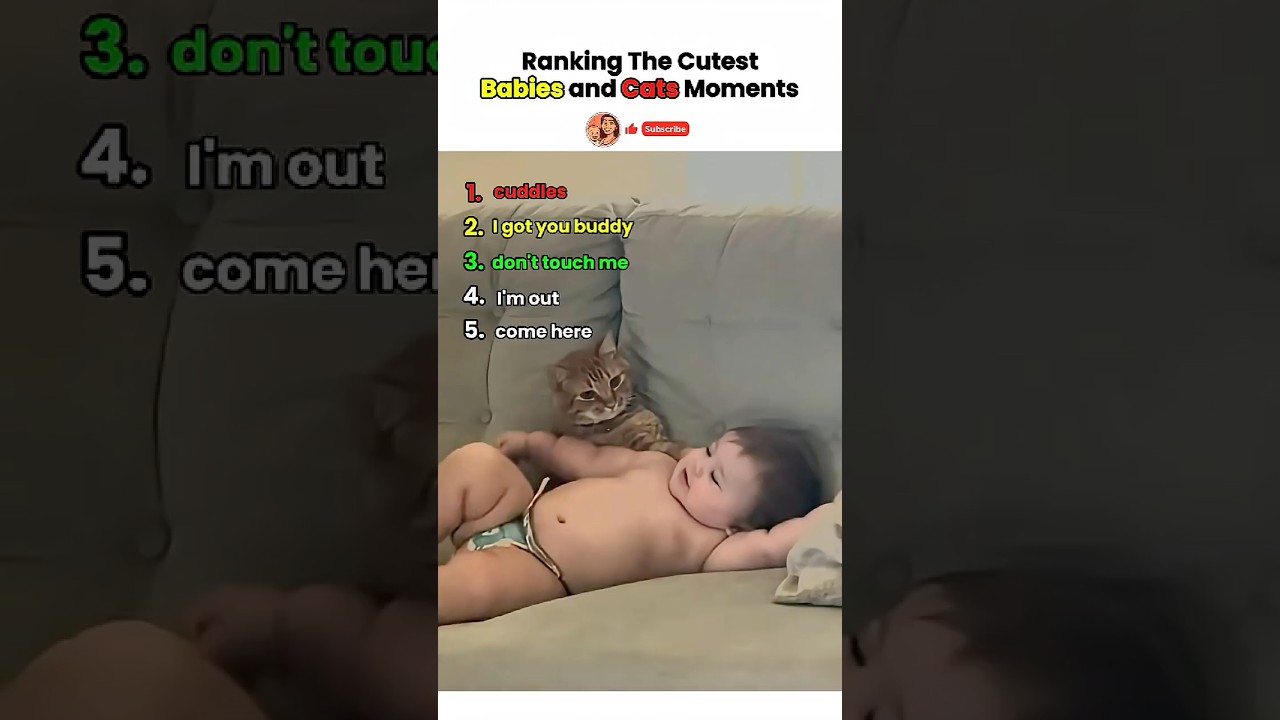 Babies and Cats