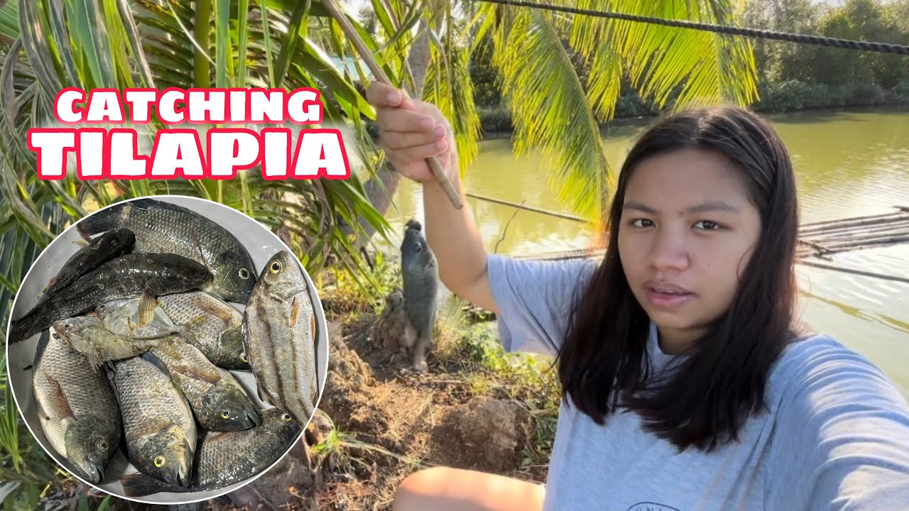 SAGLIT LANG ANDAMI NAMING NAHULING TILAPIA SA PAMIMINGWIT | Catching Tilapia Fish