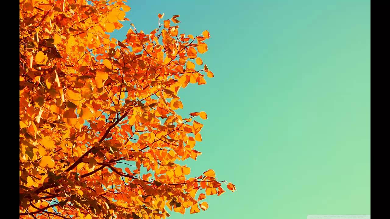 MrRom117 - Herbstluft