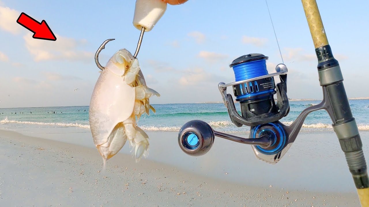 Tossed a Massive Sand Flea in the Surf and Caught Dinner! *Catch, Clean, Cook*