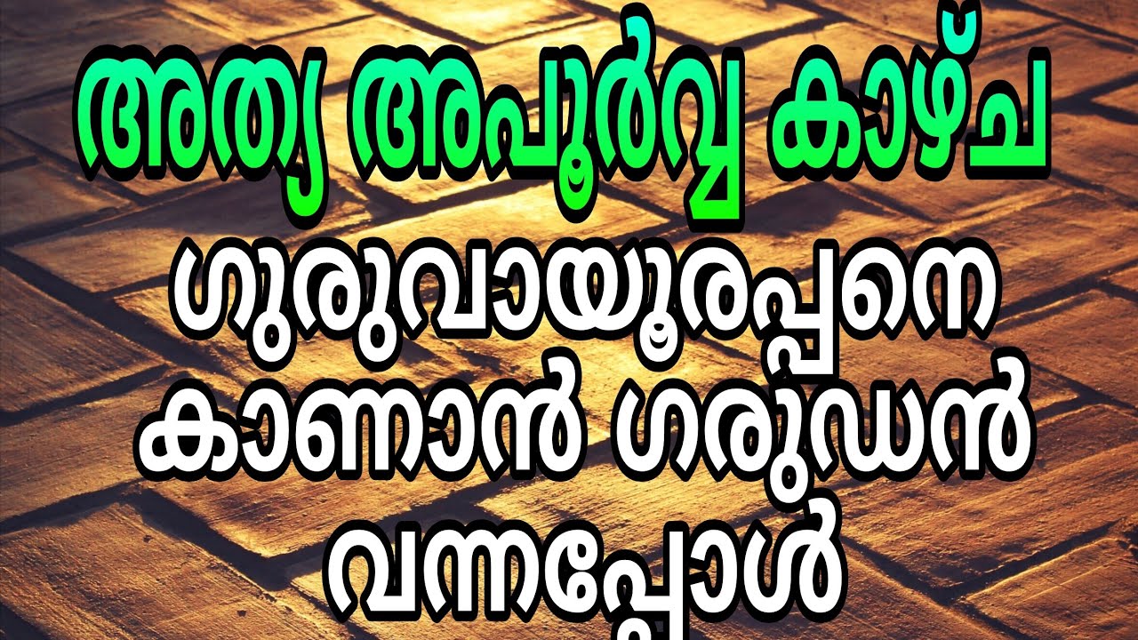 അപൂർവ്വ കാഴ്ച ഗുരുവായൂരിൽ