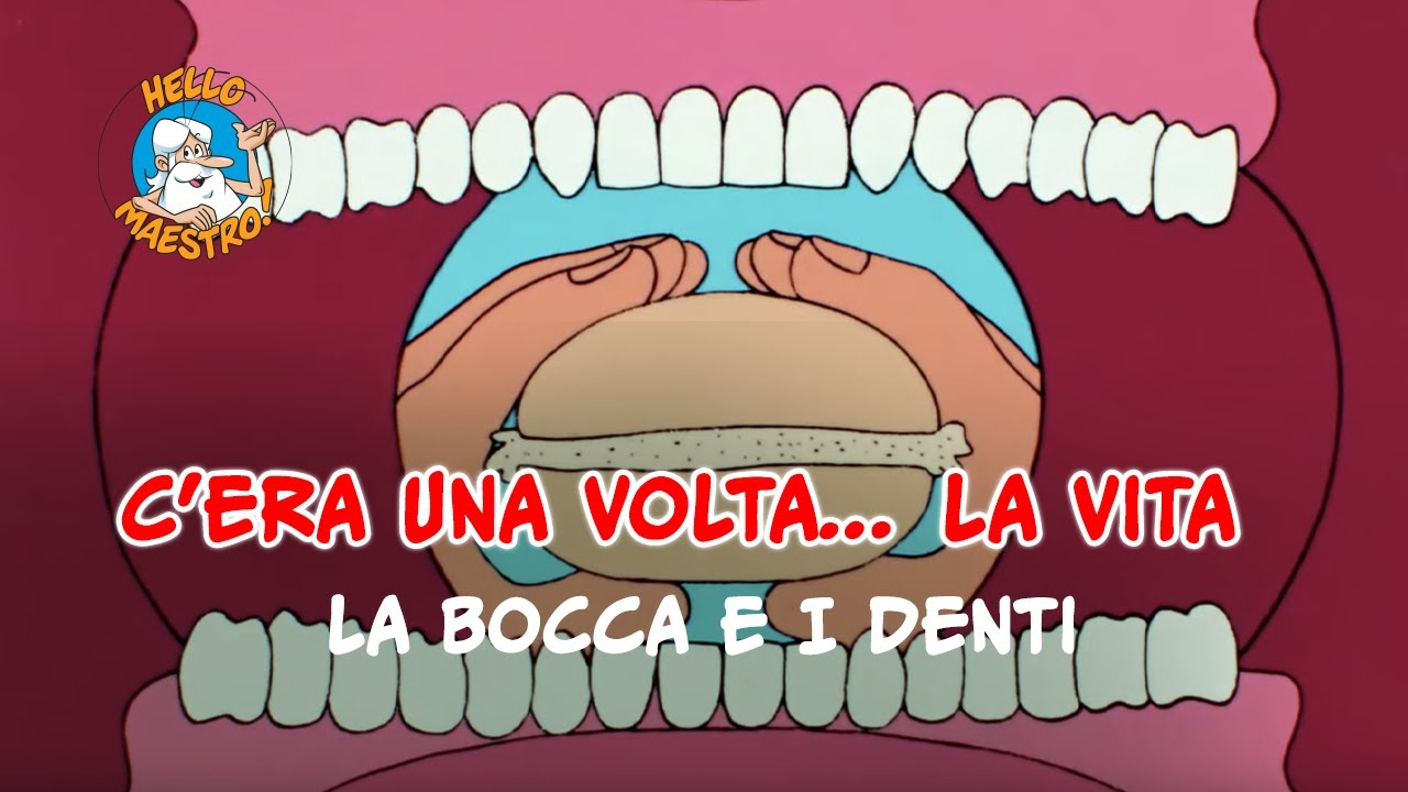 Siamo fatti così... la vita 🌱- La bocca e i denti