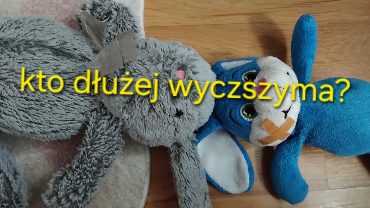 Kici I jajuś muszą wyczszymać w kole 12h