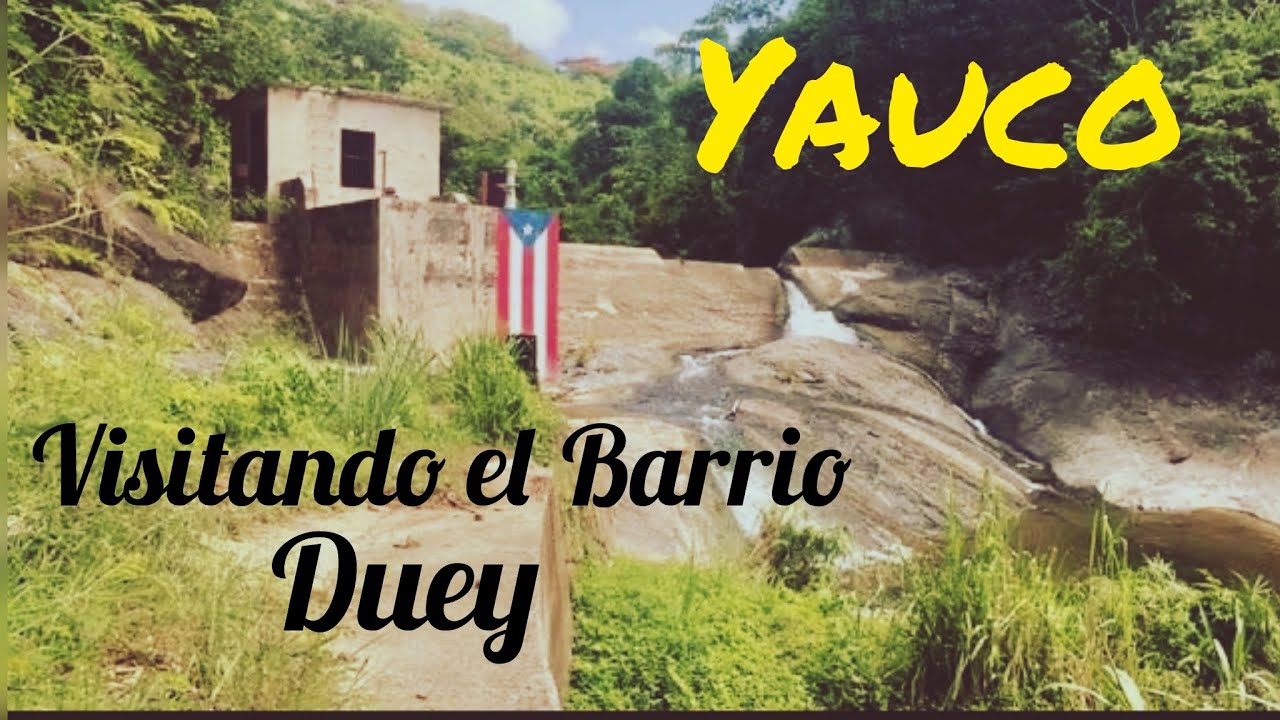 Viajando al Barrio Duey de Yauco PR