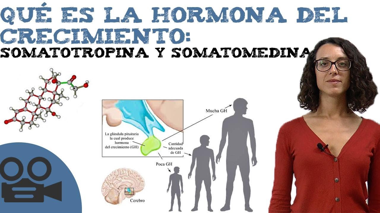 Qué es la hormona del crecimiento: somatotropina y somatomedina