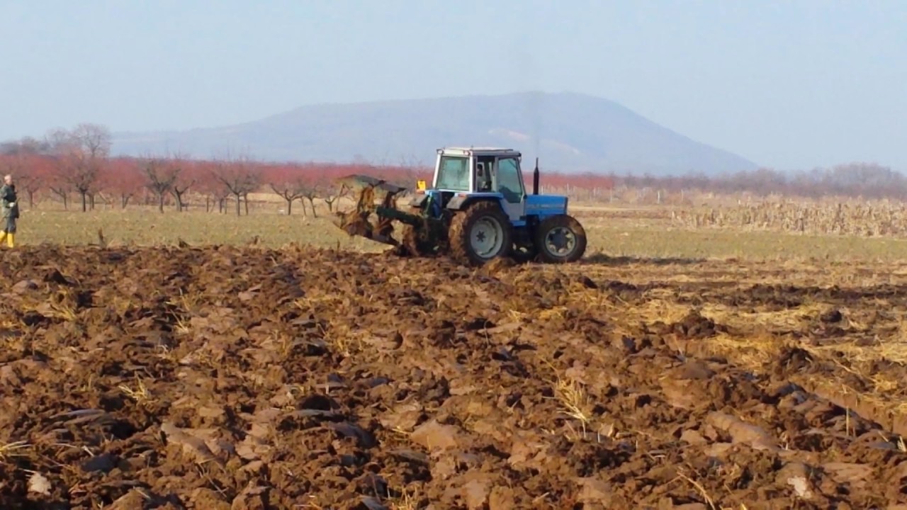 LANDINI oranje okolina Jagodine