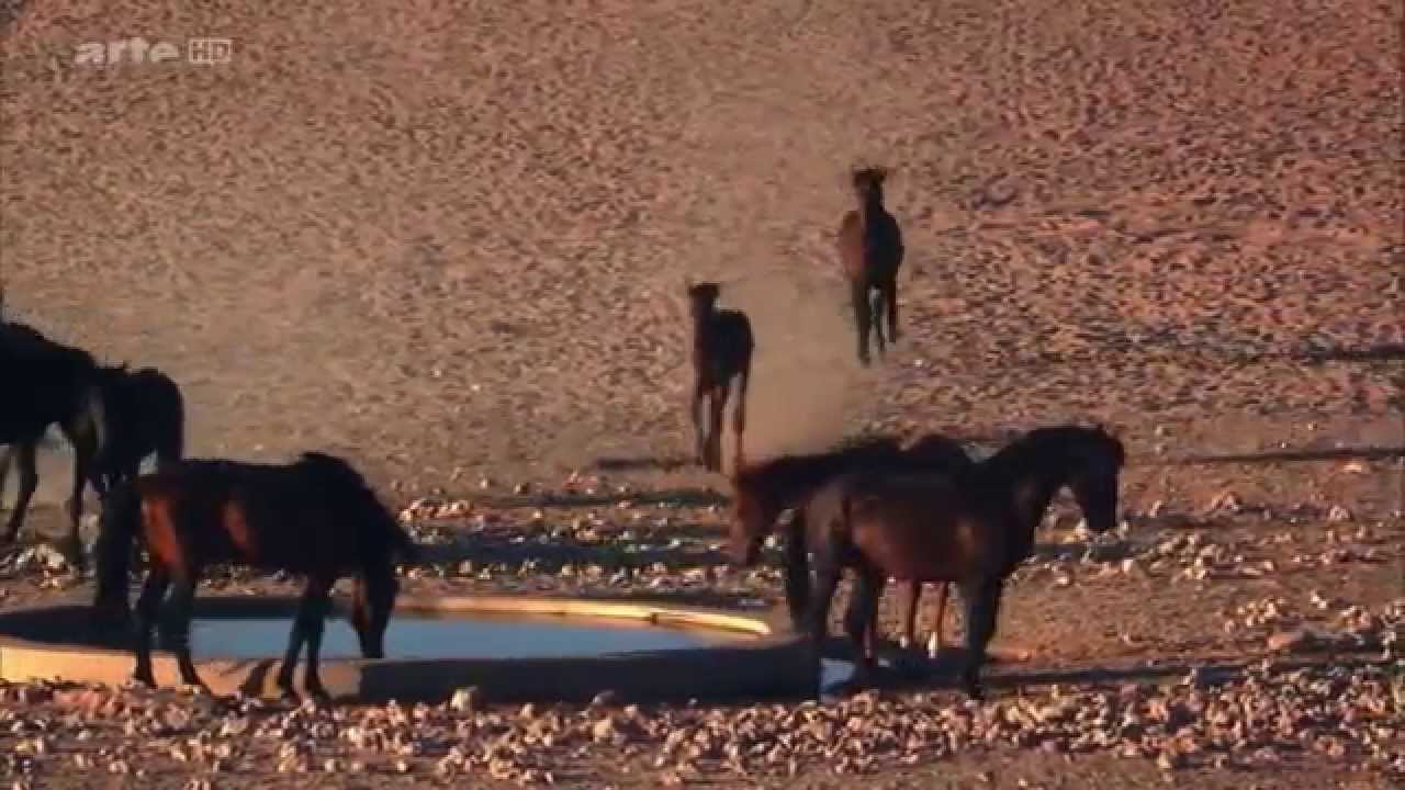 NATUR-DOKU: Afrikas  Wilder Westen  -  Die Namib (HD)