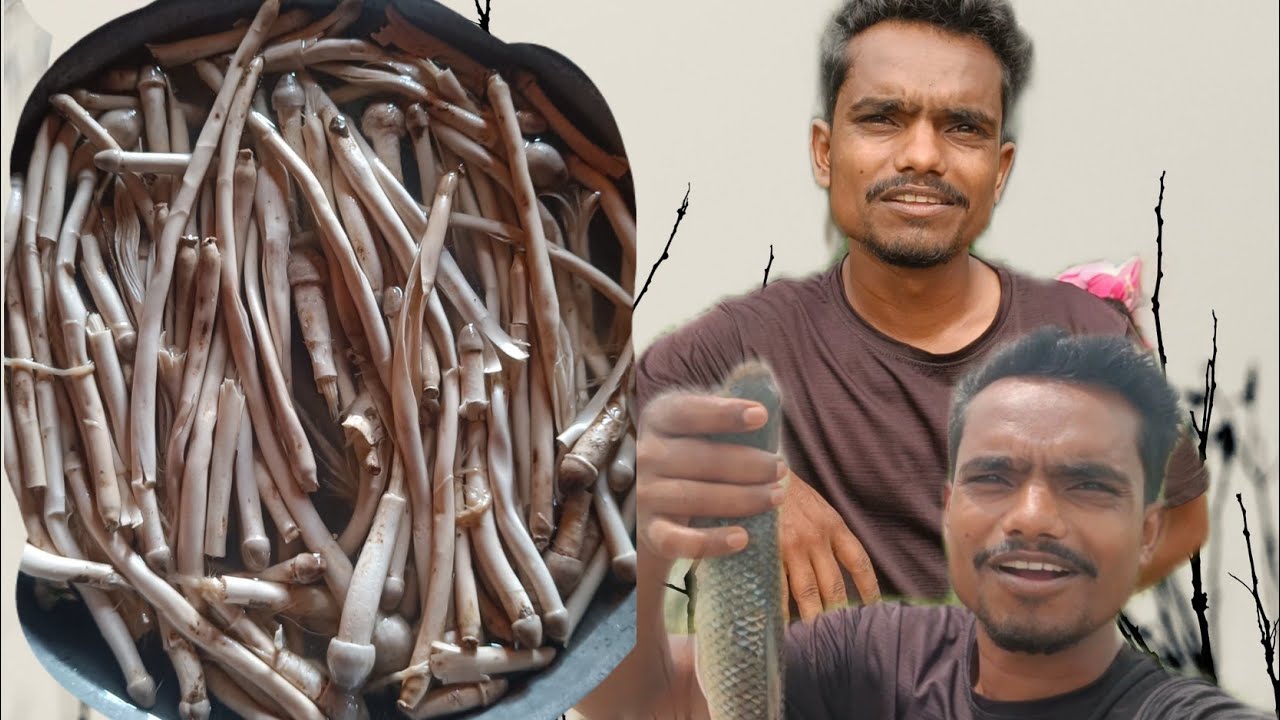 મશરૂમન્યુ ને માંસલી 😁🥴 Masroom ane Masli VLOG 1 ન્યૂ વલોગ 1