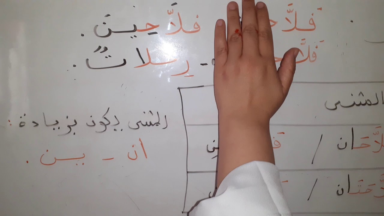 الاسم .المفرد/المثنى/ الجمع.المستوى الثالث والرابع.