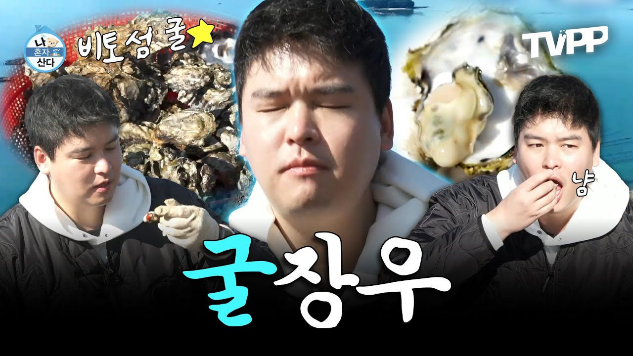 【#TVPP】 팜유 왕자 이장우, 사천 비토섬에서 진정한 굴의 맛을 찾다...🦪 | 나혼자산다 | TVPP | MBC 231201 방송