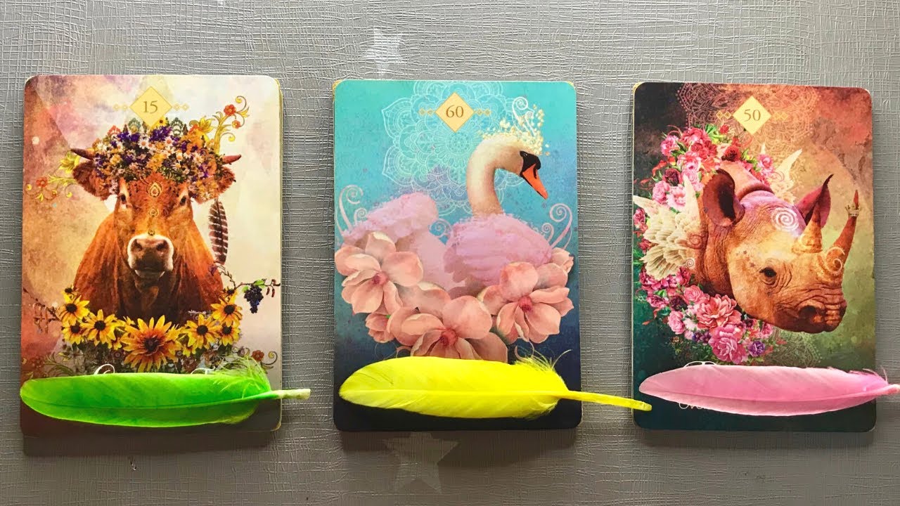 💌 Pick a Card | 🌈 Career Messages For You - Next 2 Months 👩🏻‍💻📚💰Career Tarot | Teacup Tarot ☕️