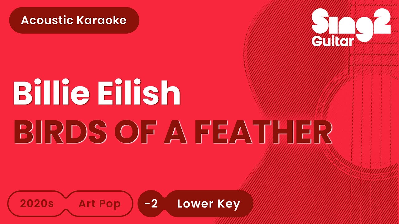 Billie Eilish - BIRDS OF A FEATHER (Lower Key) Acoustic Karaoke