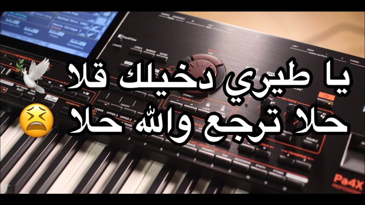 كاريوكي لا تسالوني ليش دمعي جاري - تمشي الهوينا - يا دلي من غابت عني mix