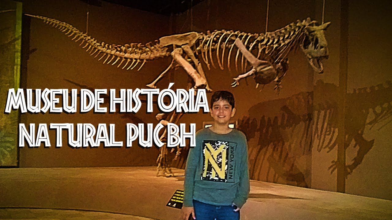 Minhas impressões ao visitar o Museu de Historia Natural