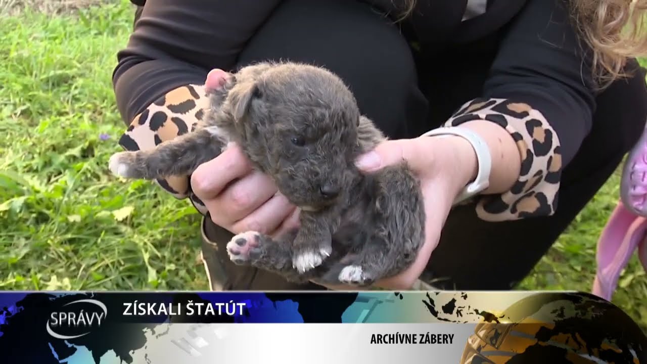 ZÍSKALI ŠTATÚT