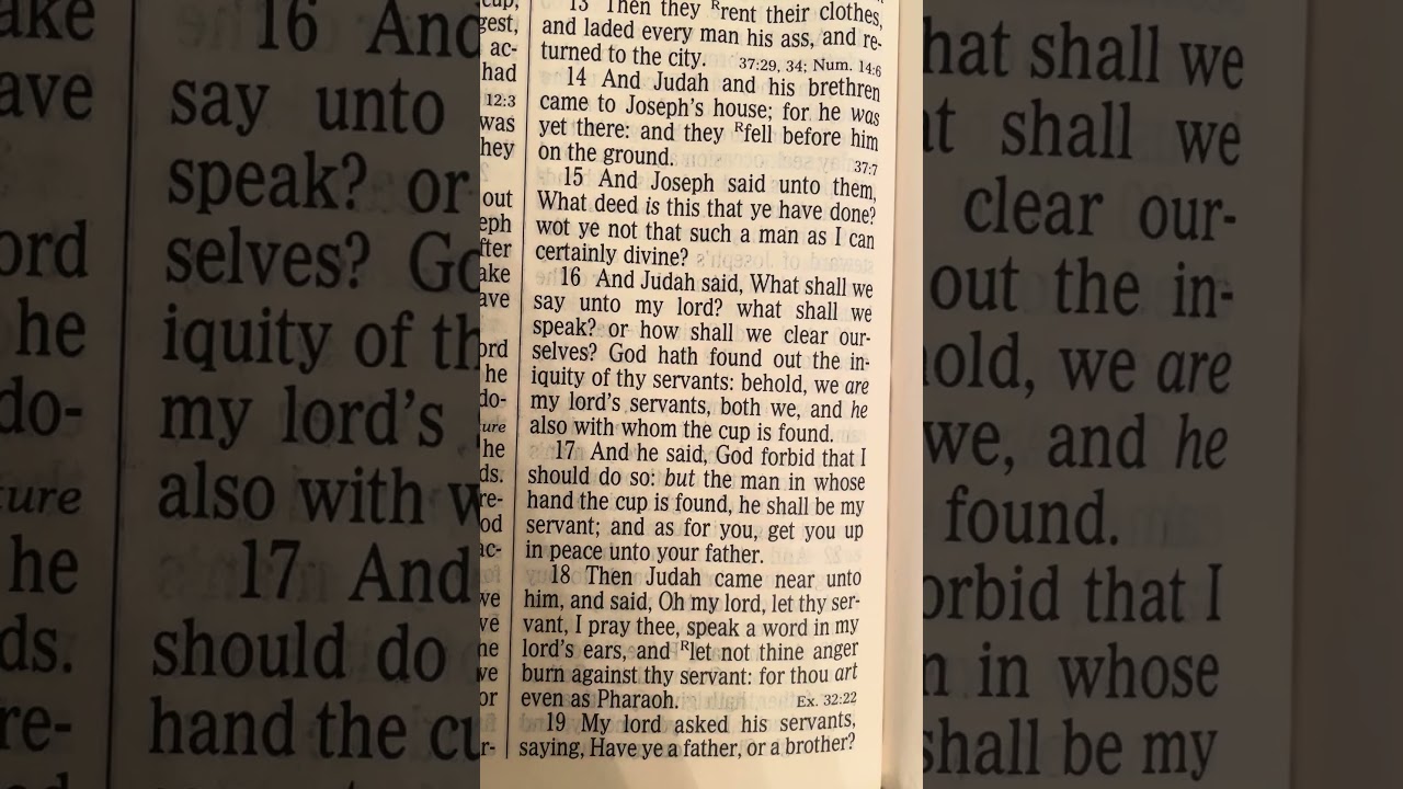 Day 216 #genesis44