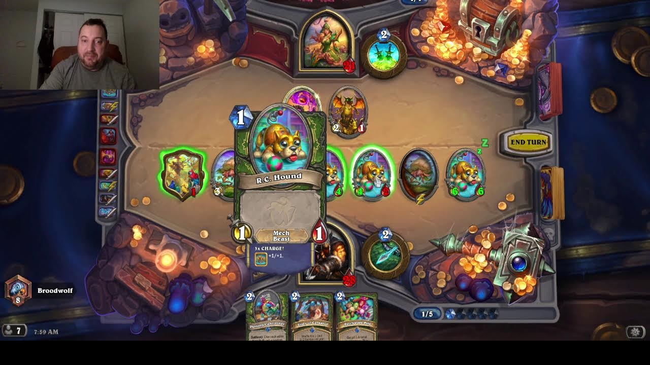 Hearthstone Beast Hunter