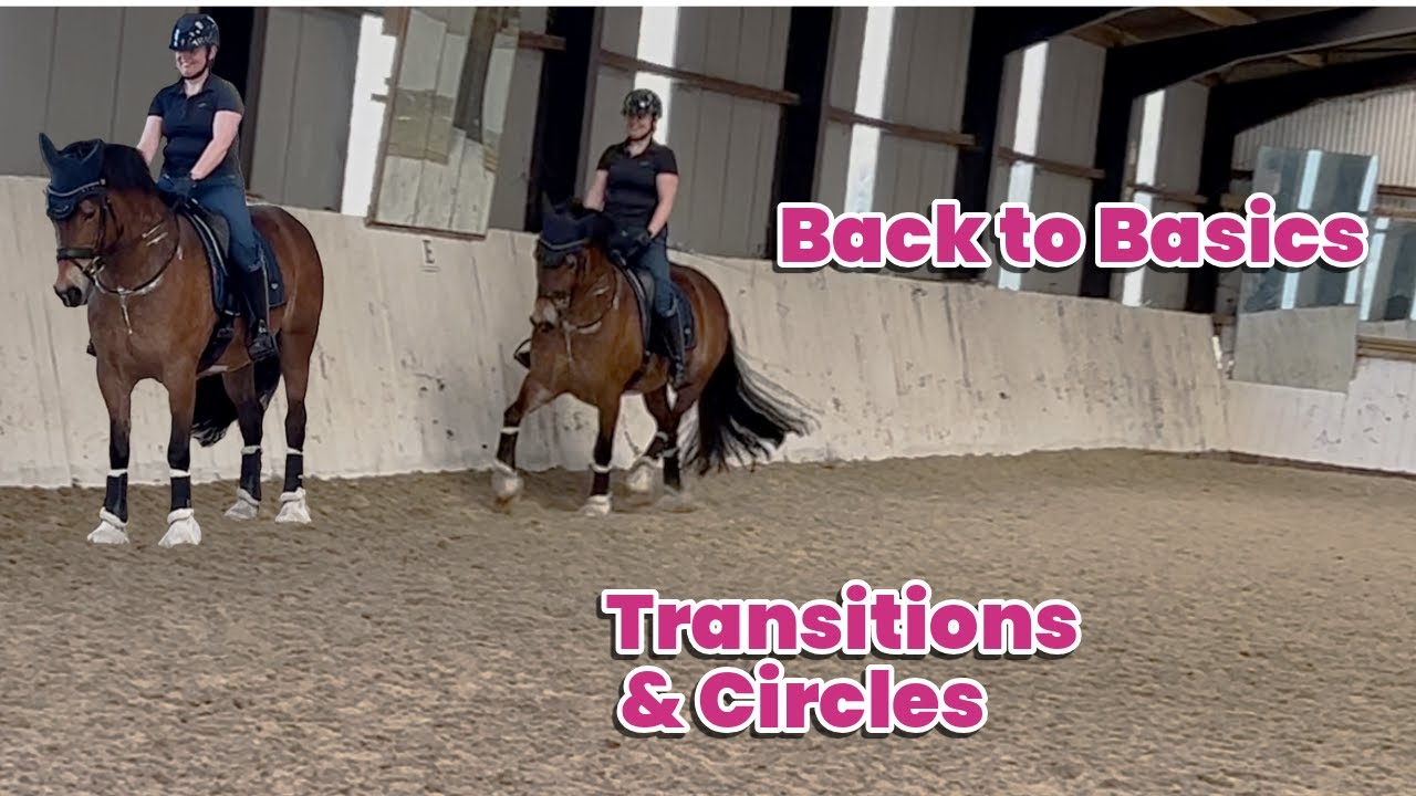 Back to Basics, Dressage Training with Hayley Watson-Greaves